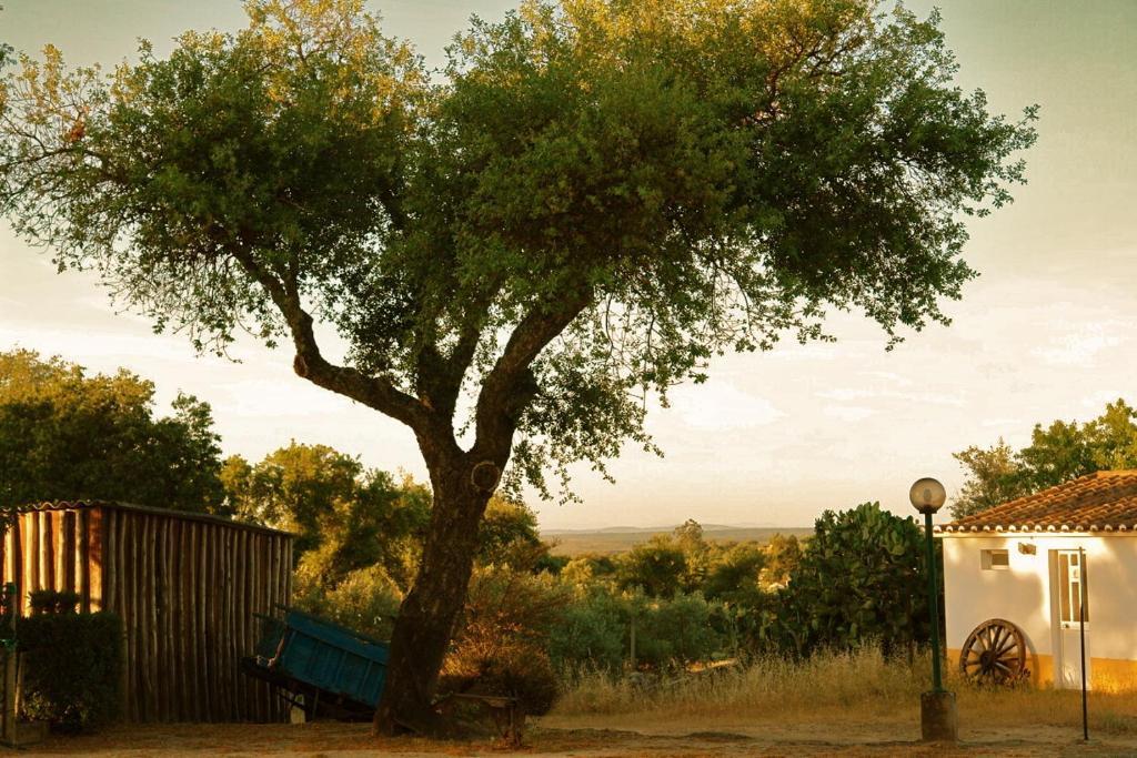 Póvoa e Meadas Quinta Da Bela Vista 아파트 외부 사진