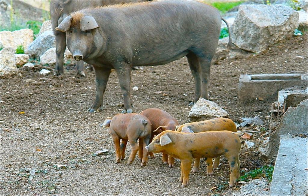 Póvoa e Meadas Quinta Da Bela Vista 아파트 외부 사진